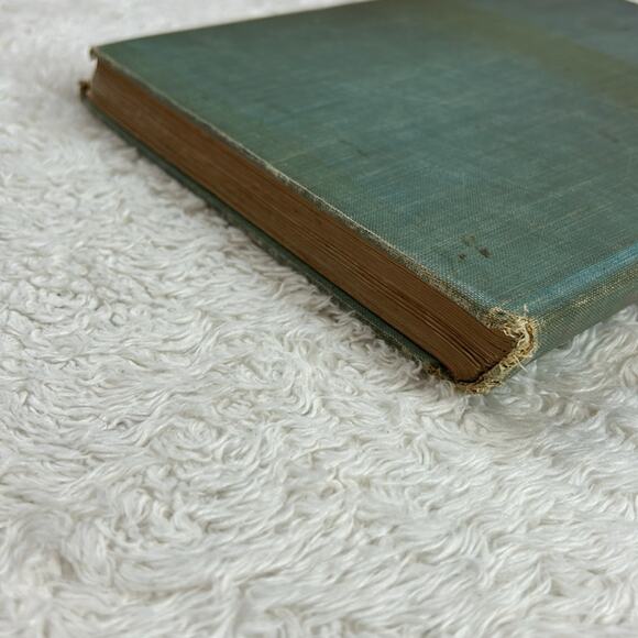 The True Story of Abraham Lincoln Elbridge S Brooks 1896 first edition antique - Picture 15 of 16